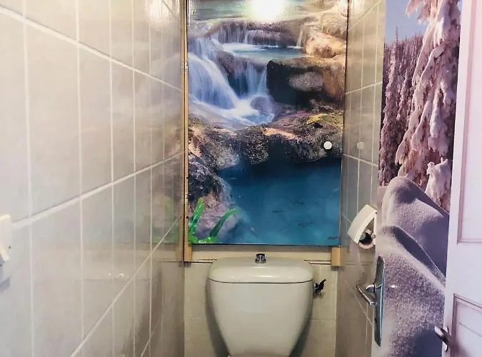 Au Pied Des Pistes- Piau Engaly Араньюэт